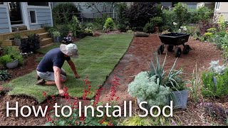 How to Install Sod
