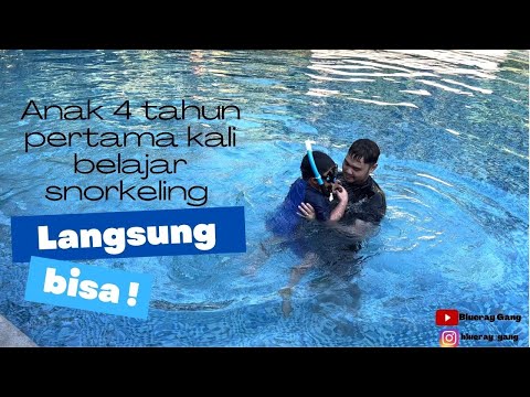 Video: Ke mana Untuk Pergi Selam Skuba dan Snorkeling di Akuarium