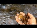 Alluvial Gold Prospecting -  The Best Places to Find Gold in a Creek - How to Get Gold