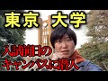 【究極の下見】東大OBが入試前日の駒場キャンパスを案内します【落ち着きあり】