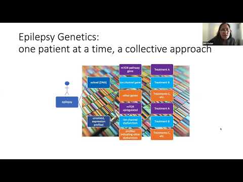 Gene Based Therapies: Why Are They Likely to Succeed or to Fail: Boston Children’s Hospital