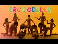 Colas  crocodile