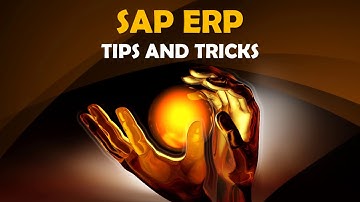 SAP ERP Tips and Tricks Business mandatory input field for transactions