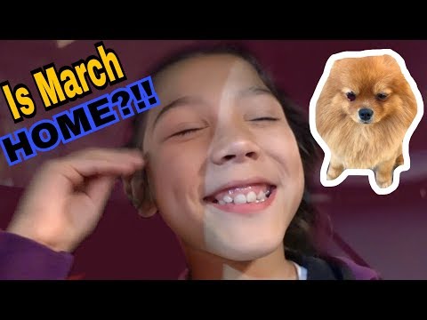 do-we-finally-bring-our-puppy-march-pom-home?!!-|-familia-diamond