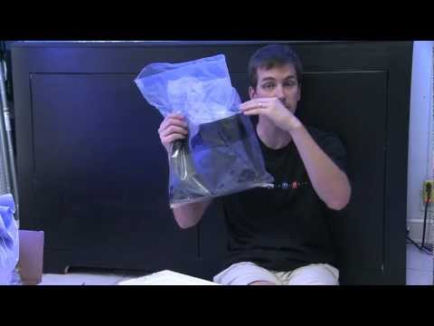 Mr. Saltwater Tank TV Friday Am Quick Tip #82: Be Welcoming, But Not Lethal