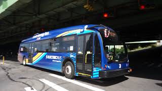 NYC Bus: Rego Park bound BE40 0016 Q59 at I-495/Queens Blvd