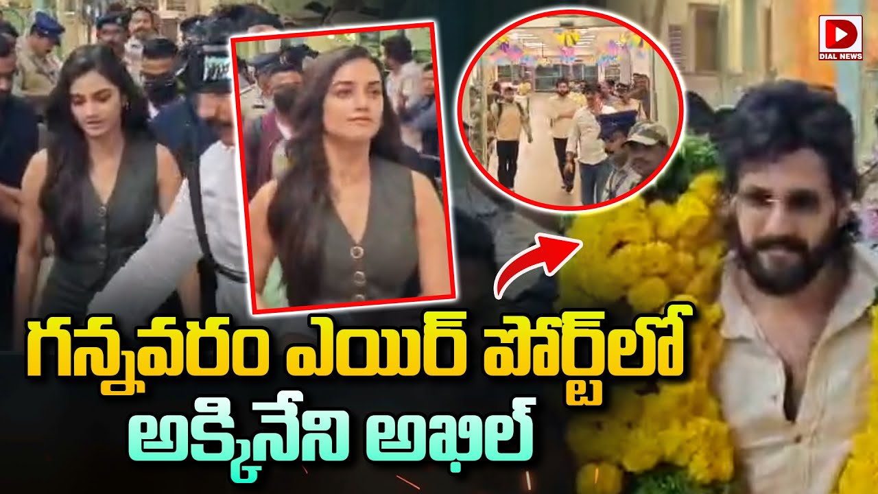 గన్నవరం ఎయిర్ పోర్ట్ లో అక్కినేని అఖిల్ || Akkineni Akhil At Gannavaram Airport || Dial News