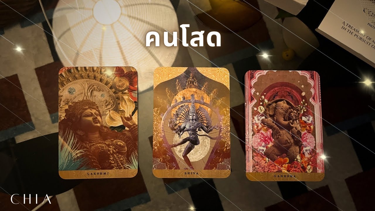 Pick a card คนโสด ความรักในอีก 3 เดือนข้างหน้า ✨🪔🕉️