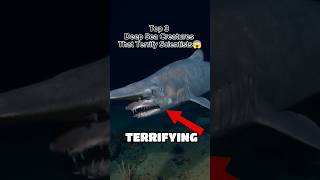 Top 3 Deep Sea Creatures That Terrify Scientists😱 #shorts