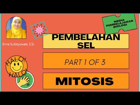 Pembelahan Mitosis