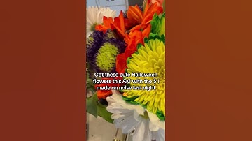 thankful for Noise so I can  have fun money #expensive #costofliving #sidehustles #noise #nostalgia