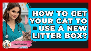 How To Get Your Cat To Use A New Litter Box? - Happy Cat Handbook