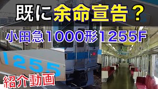 【運用離脱も近い⁉︎】小田急1000形1255Fを紹介