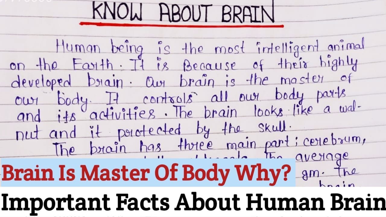 importance of brain essay