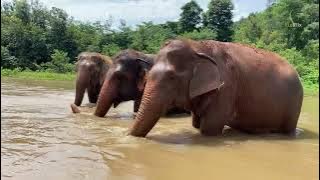 Pornsawan and her family enjoy river site in hot day  - Eleflix