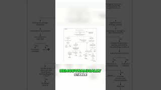 🩺 **Hemodynamic Stability: A Quick Guide for Patient Assessment** 🩺  Master the essentials of asse