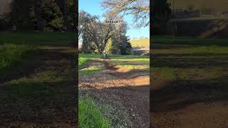 What e-bike do you have?? put it in the comments #surron #eride #automobile #subscribe #bikepark