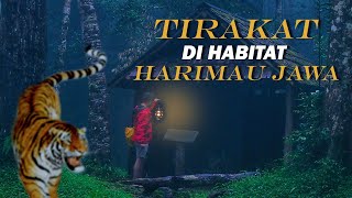 Tirakat Di Habitat 𝑯𝑨𝑹𝑰𝑴𝑨𝑼 𝑱𝑨𝑾𝑨 | Penelusuran Di Hutan Angker 🐅