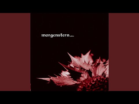 Morgenstern — Ende/Anfang
