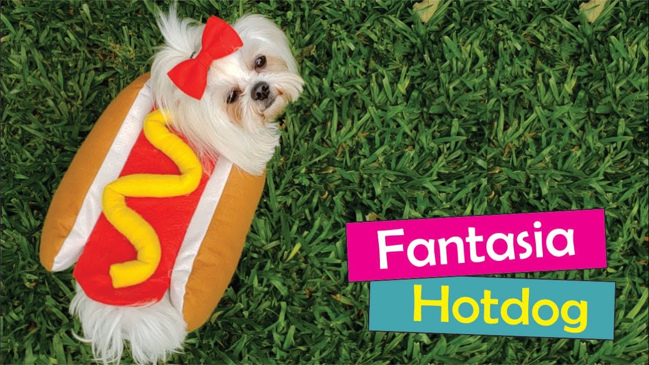 #25 Moda Pet: Carnaval - Fantasia de HotDog 