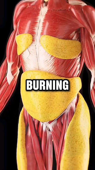 Water fasting can change your body completely | DLSL Social