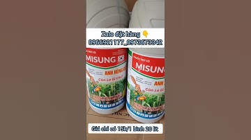 Thuốc trừ cỏ trên vườn mía. #thuocdietco , #mia