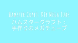 Diy Hamster Toy Diy Mega Tube