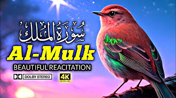  سورة الملك (تبارك) كاملة | رقية قوية للنوم والسكينة — تلاوة خاشعة بصوت علاء عقل (AQL)