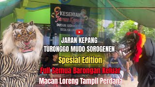 Babak Barongan Full Rusuh Ndadi Kabeh ‼️‼️ Macan Loreng NGAMUKKKK