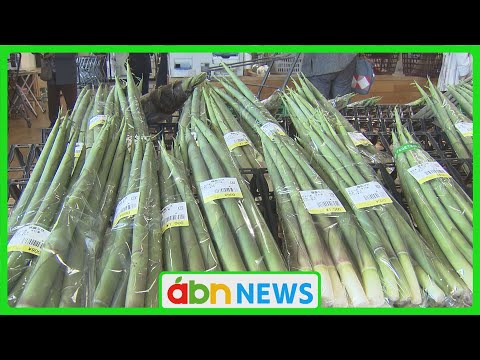 Fresh bamboo shoots are arriving in abundance at roadside rest