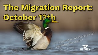 The Migration Report: Wisconsin Waterfowl Updates - Oct 13th