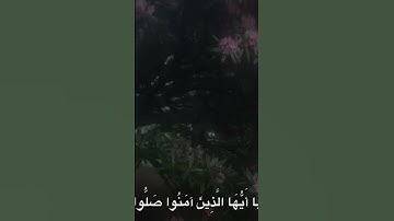 القارئ محمد صديق المنشاوي #اكسبلور #القرآن_الكريم #راحة_نفسية #ايات_قرانيه_قصيره #viralvideo #قرآن