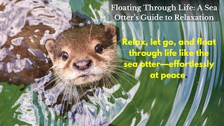 Floating Through Life A Sea Otter’s Guide to Relaxation