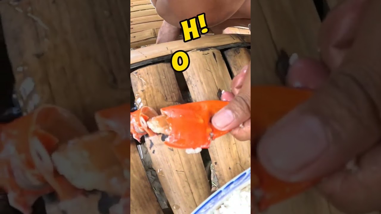 Trying Coconut Crab In The Philippines! 🇵🇭 