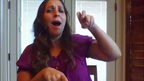 Body Part Classifiers   Legs and Feet