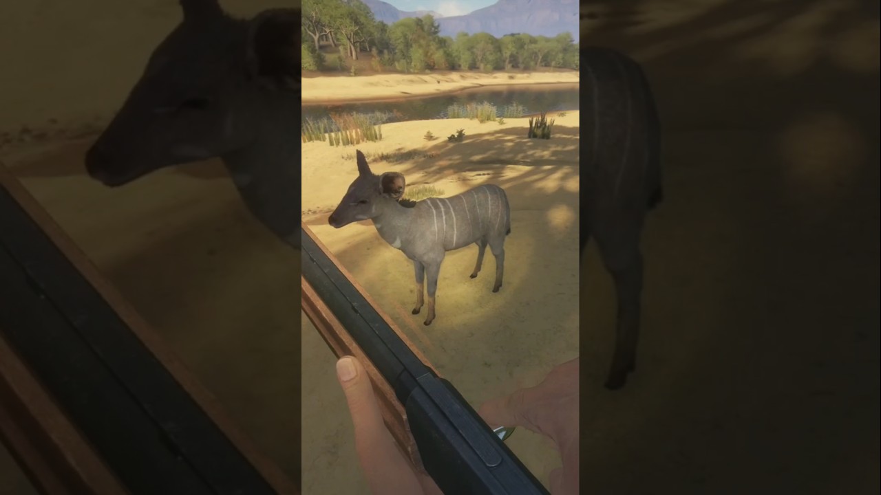 $10,000 in 30 Seconds🤑 