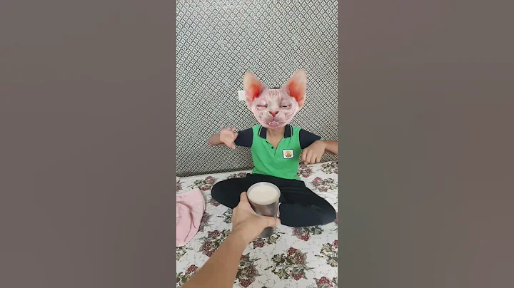 Video 8276951: sphynx cat meow, funny sphynx cat, sphynx tom