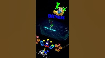 BITNEST - O futuro das finanças. #dolar #trader #ganharemdolar #defi #bitcoin #rendaextra #crypto