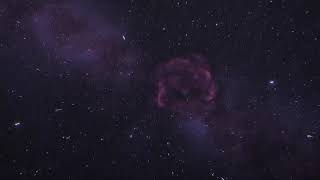 Melonia  Sweet Child O Mine   