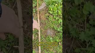 Горы #обзор #Туризм #глэмпинг   Полное видео на канале