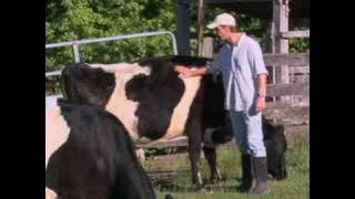 Virginia Commune Still Draws Members After 40 Years