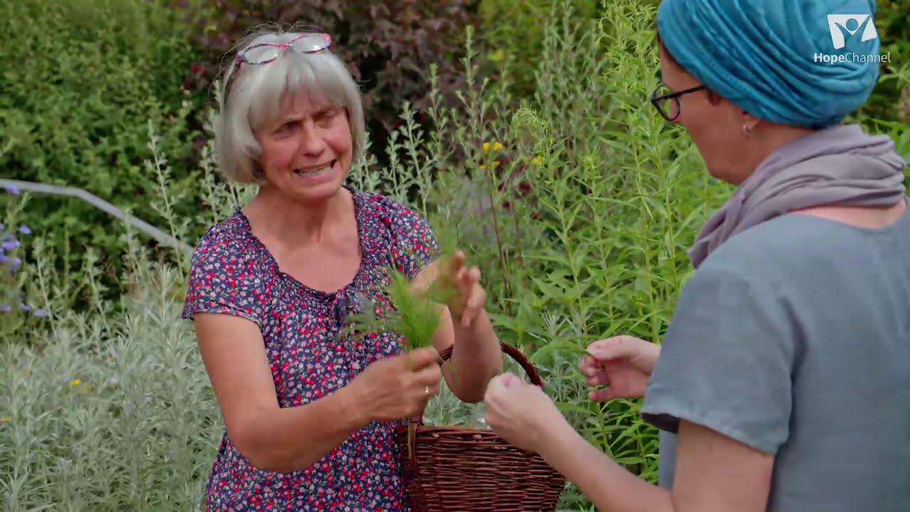 Kleine Kräuterkunde: Goldrute