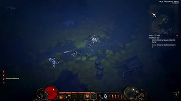 Wretched queens suddenly disappears when u kill the wretched mother (Diablo 3 Beta)