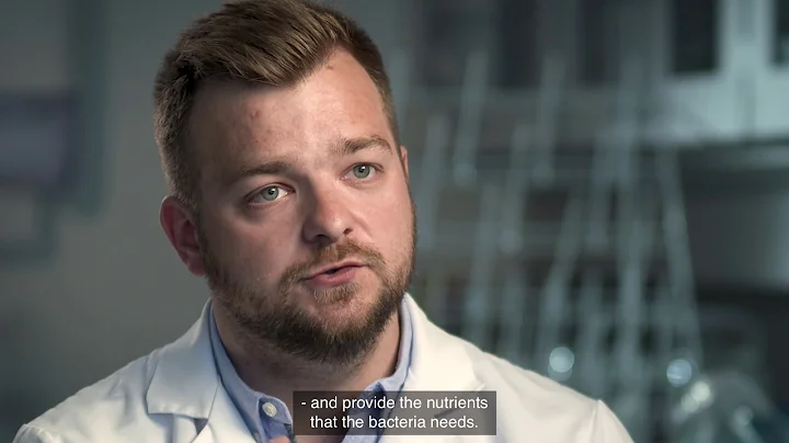 Well and Production Technology 2 – Self-healing Cement