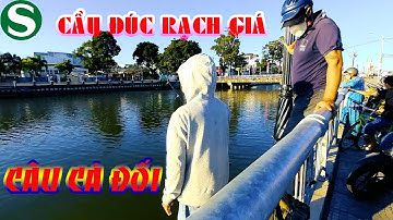 Chia sẻ mồi và cách câu cá đối | không phải ai cũng biết | Fishing, |Sắc Màu VN