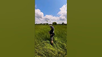 AtomRC Seal Maiden Flight 🛩️ #atomrc #heewing #volantexrc #teamblacksheep #rcplane #fpv #dji #caddx