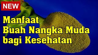 Manfaat Buah Nangka Muda atau Tewel bagi Kesehatan