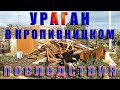 Ураган в Кропивницком разрушил 250 домов, уничтожил 3 гектара леса (2020)