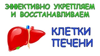 Укрепляем и восстанавливаем клетки печени. 2 рецепта. Укрепляем и восстанавливаем клетки печени. 2 рецепта.