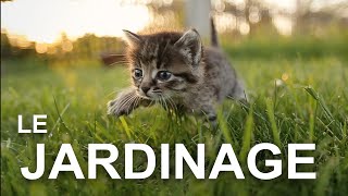 LE JARDINAGE - PAROLE DE CHAT